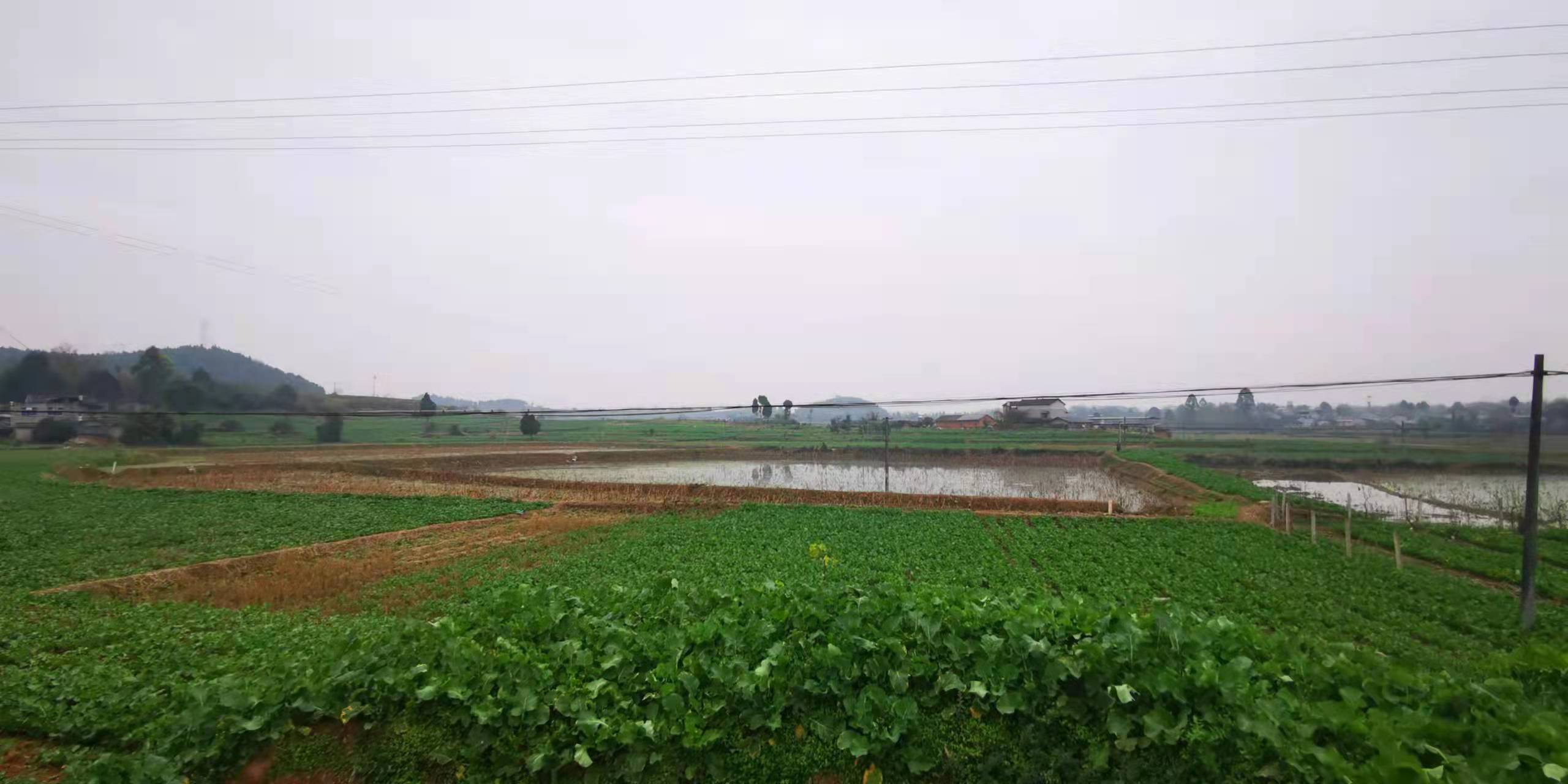 開(kāi)挖耕地建房、挖砂、養(yǎng)魚(yú)……這五起破壞耕地案被起訴了(圖1) 開(kāi)挖耕地建房、挖砂、養(yǎng)魚(yú)……這五起破壞耕地案被起訴了(圖1)