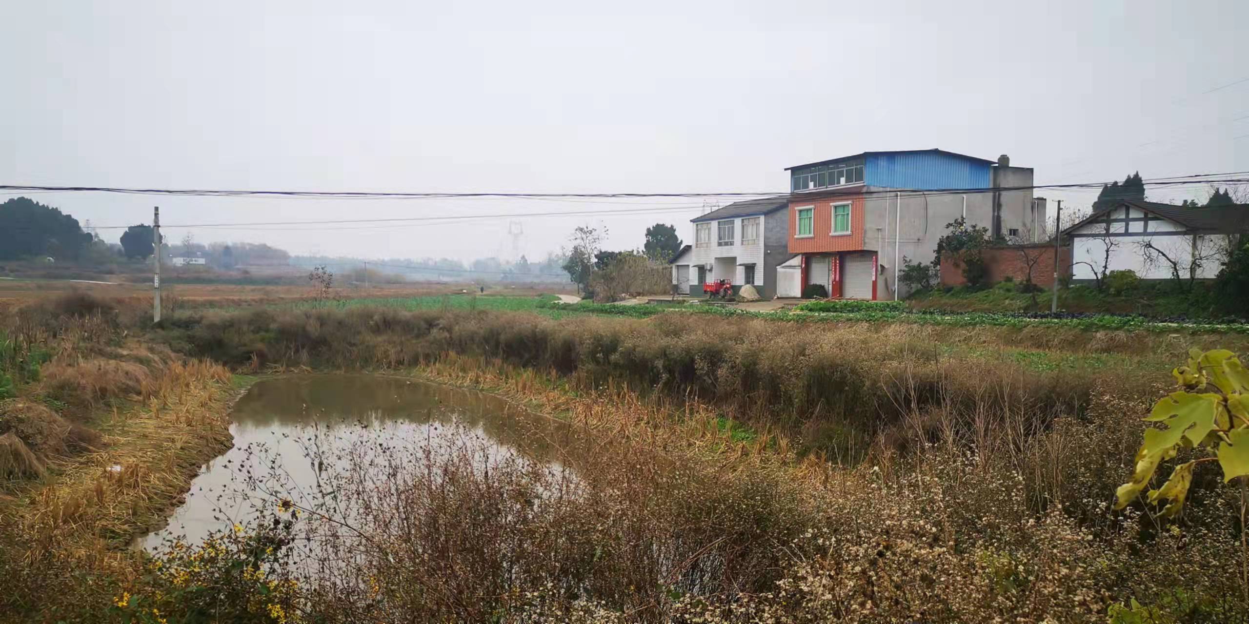 開(kāi)挖耕地建房、挖砂、養(yǎng)魚(yú)……這五起破壞耕地案被起訴了(圖2) 開(kāi)挖耕地建房、挖砂、養(yǎng)魚(yú)……這五起破壞耕地案被起訴了(圖2)