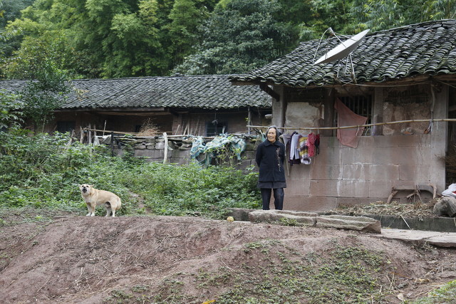 奔小康生活小故事(圖3) 奔小康生活小故事(圖3)