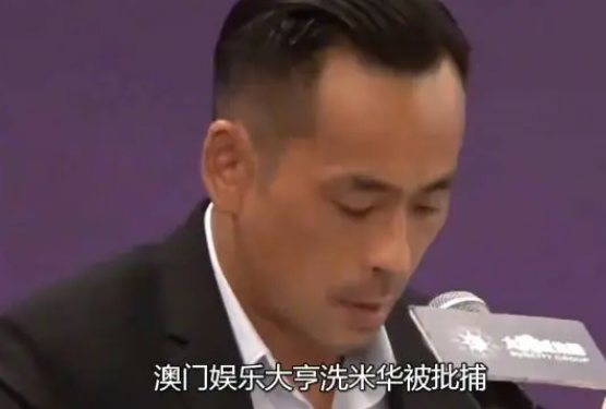 洗米華涉6800億被捕，陳慧玲賤賣豪宅處理雞毛，劉碧麗成最后贏家(圖1)