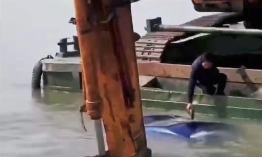 車輛沖入太湖即將沉沒，挖掘機(jī)司機(jī)用鏟斗托住，敲窗救出一家3口(圖5)