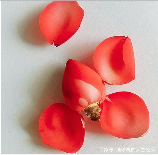 礦石脫泥洗砂機@聽花開的聲音,色不迷人人自迷,酒不醉人人自醉(圖1) 礦石脫泥洗砂機@聽花開的聲音,色不迷人人自迷,酒不醉人人自醉(圖1)