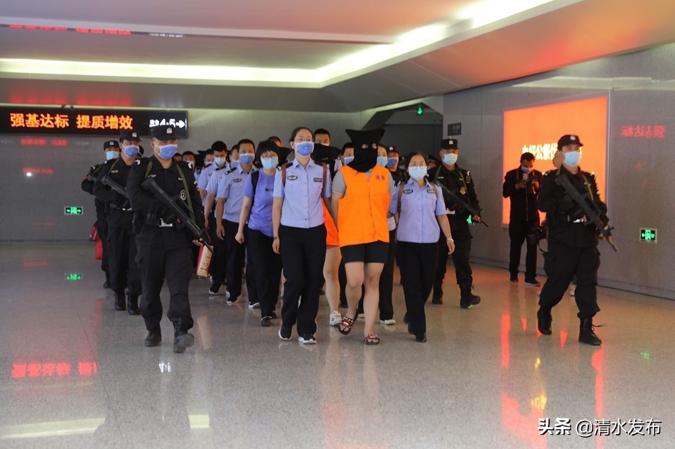 【向人民報(bào)告】數(shù)說2020,清水公安這份成績單請您查收!(圖13) 【向人民報(bào)告】數(shù)說2020,清水公安這份成績單請您查收!(圖13)