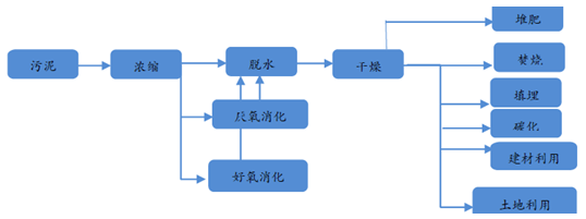 下水道臭泥也有人搶著要？上海中心城區(qū)這項“第一個”一天能“吃”60噸！(圖11)