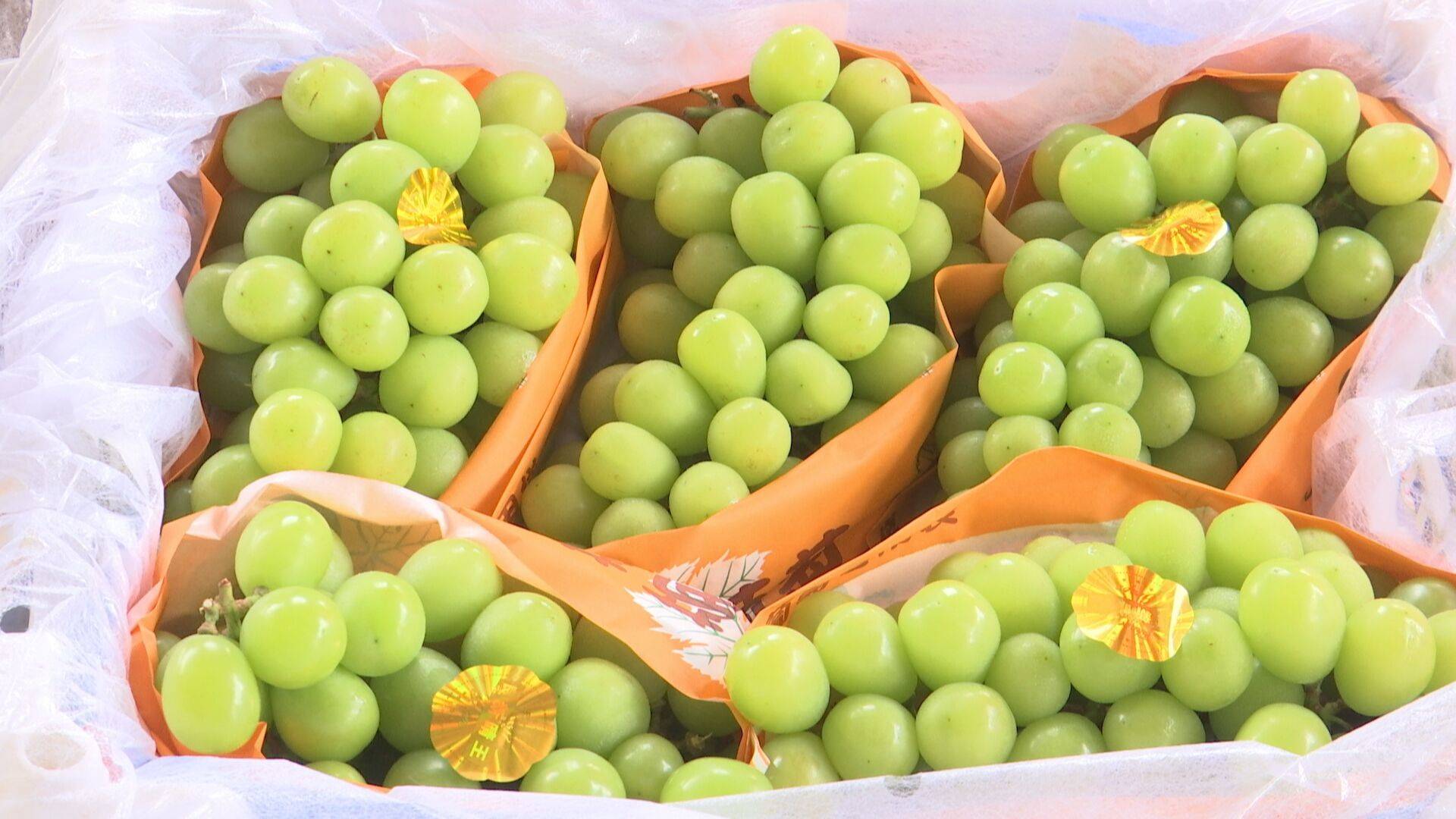 夏季水果大量上市批發價格普遍上漲(圖3)