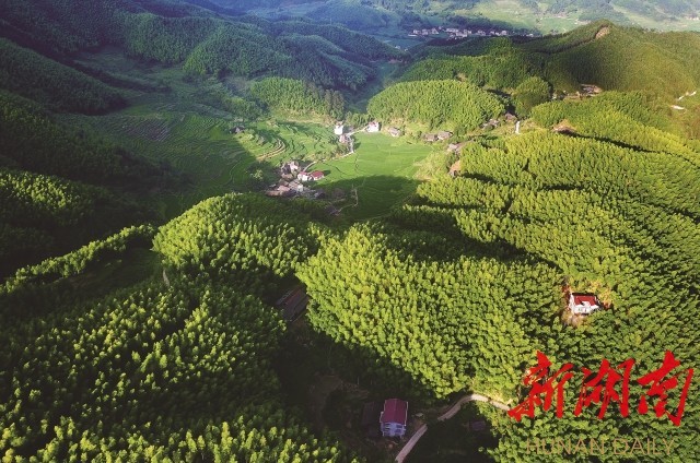 綏寧:奮進七十載綠洲展華彩(圖2) 綏寧:奮進七十載綠洲展華彩(圖2)