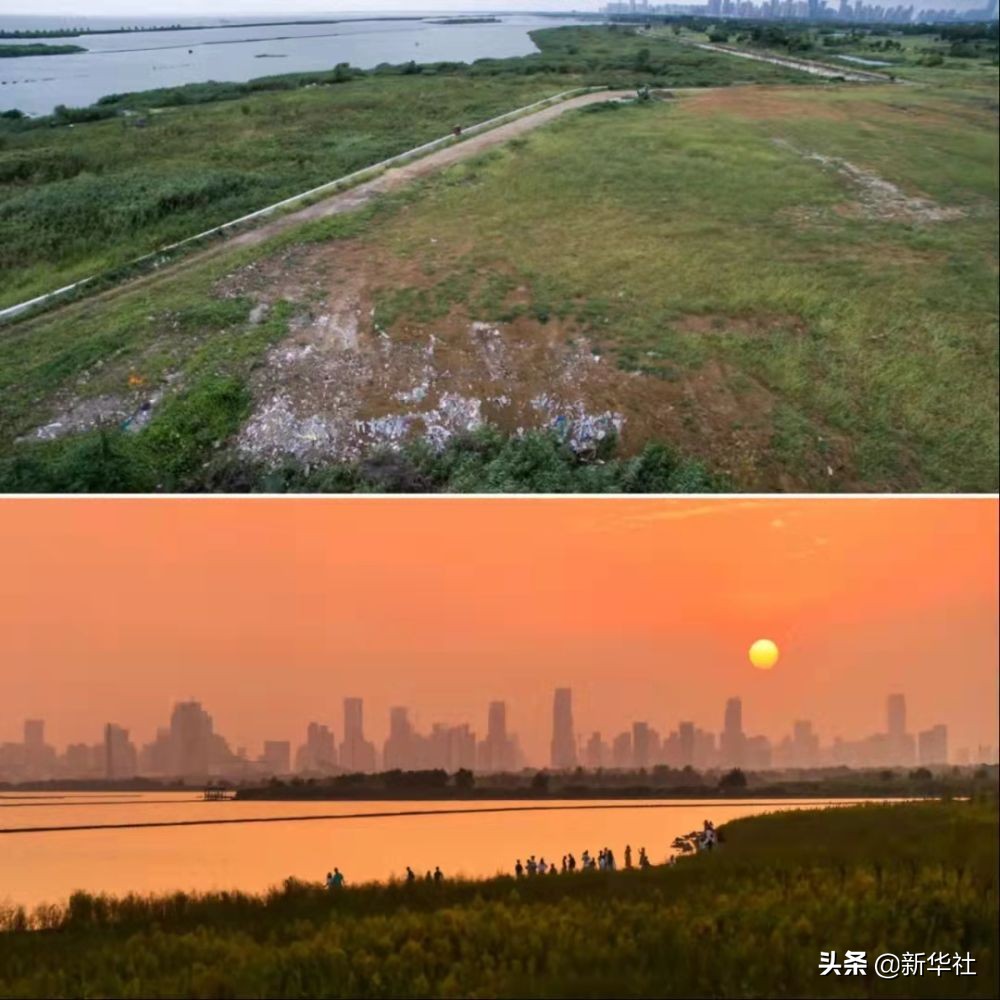 瞭望·治國理政紀事丨江淮問道(圖4) 瞭望·治國理政紀事丨江淮問道(圖4)