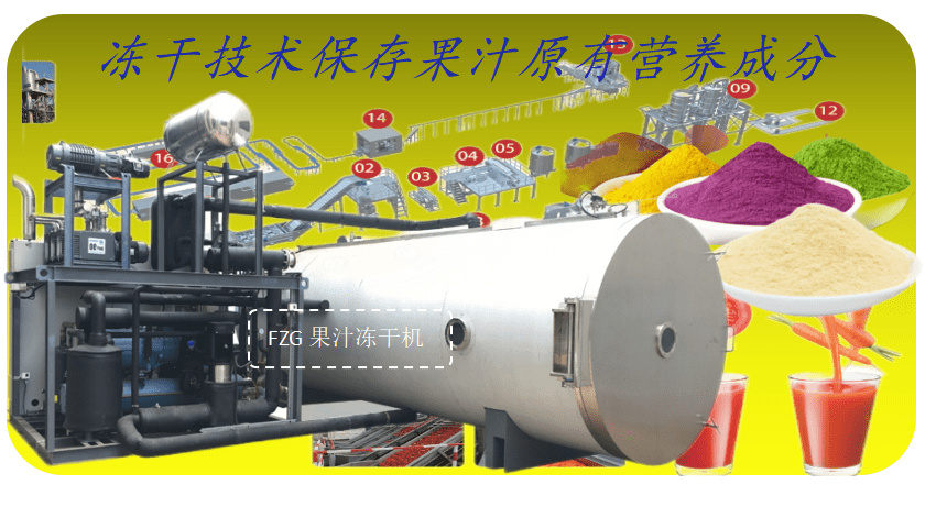 果汁凍干生產(chǎn)線和果汁凍干機(jī)成套設(shè)備(圖1)
