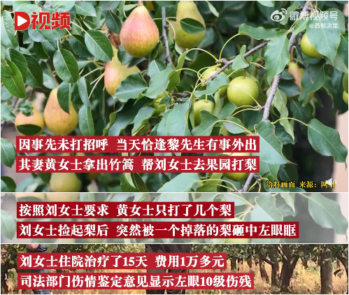 午報｜7月15日上崗！鄭州新增77套機動車違法行為抓拍系統(圖8)