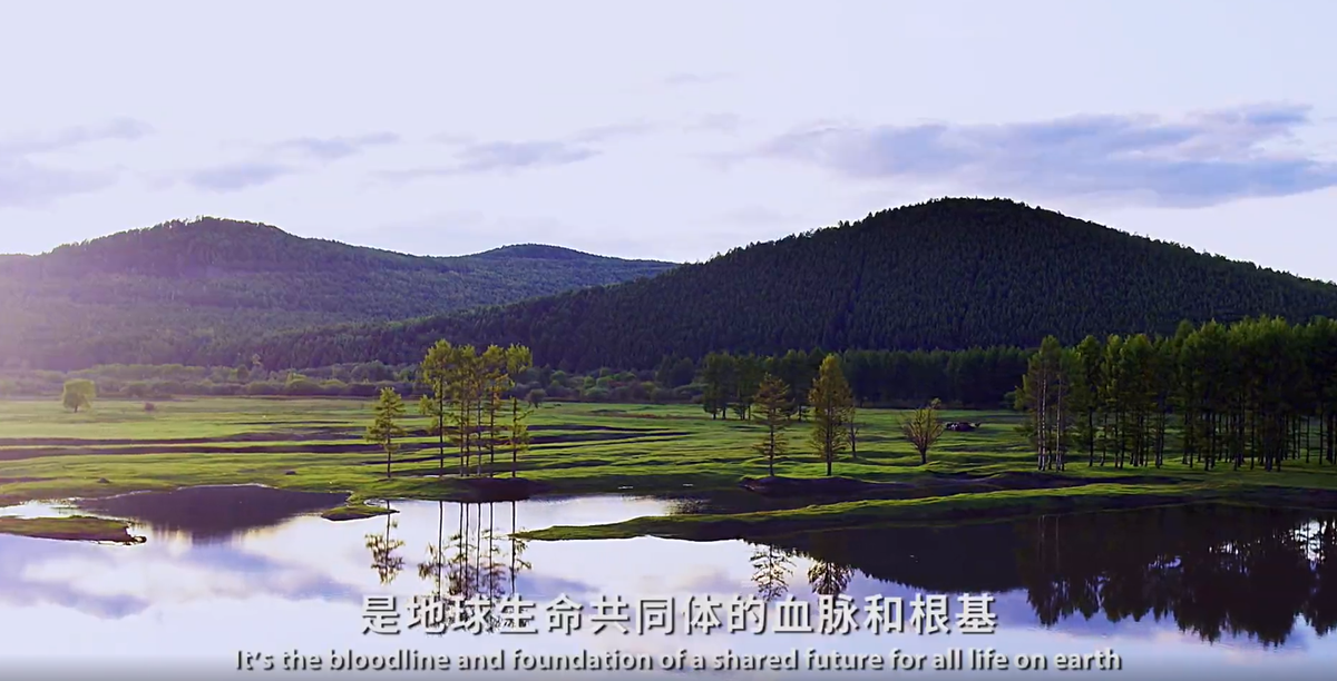 一周環(huán)保新聞：中央生態(tài)環(huán)境保護(hù)督察集中通報(bào)典型案例，《新型儲能項(xiàng)目管理規(guī)范（暫行）》印發(fā)...(圖2)