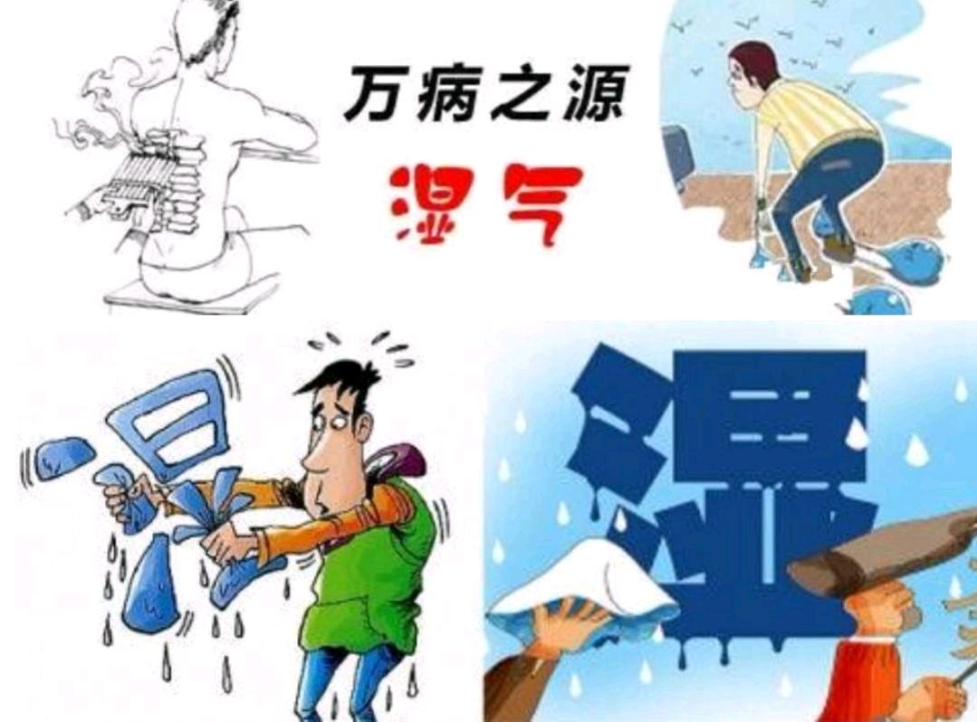 夏天是祛濕好時機，3種食材一起煮著吃，再狡猾的濕氣也能揪出來(圖1)