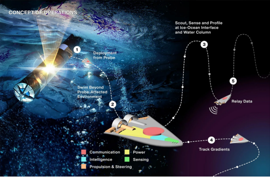 微型游泳機器人未來或將遨游外星海洋尋找生命(圖2)