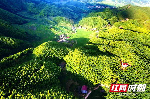 壯麗70年丨綏寧：奮進七十載綠洲展華彩(圖2)