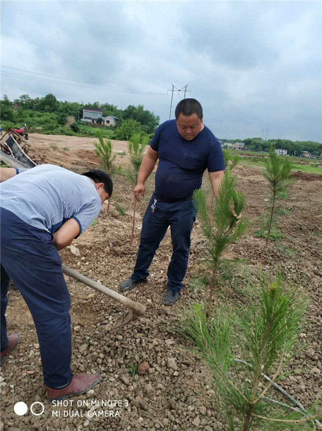 湘潭縣依法處置一洗砂場(圖3)