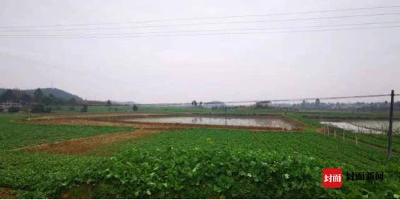 旅游開發、挖塘養魚……四川公安發布5起非法占用耕地典型案例(圖1) 旅游開發、挖塘養魚……四川公安發布5起非法占用耕地典型案例(圖1)