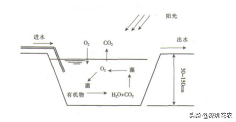 國家濕地水環(huán)境污染控制指南項(xiàng)目(一)(圖4) 國家濕地水環(huán)境污染控制指南項(xiàng)目(一)(圖4)