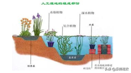 國家濕地水環(huán)境污染控制指南項(xiàng)目(一)(圖14) 國家濕地水環(huán)境污染控制指南項(xiàng)目(一)(圖14)