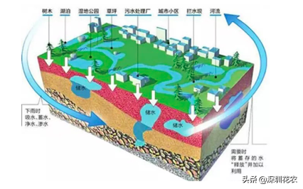 國家濕地水環(huán)境污染控制指南項(xiàng)目(一)(圖18) 國家濕地水環(huán)境污染控制指南項(xiàng)目(一)(圖18)