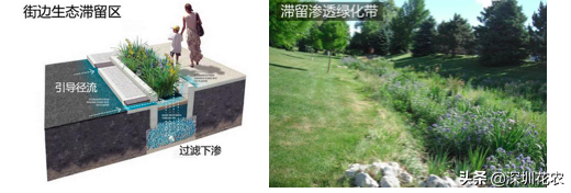 國家濕地水環(huán)境污染控制指南項(xiàng)目(一)(圖21) 國家濕地水環(huán)境污染控制指南項(xiàng)目(一)(圖21)