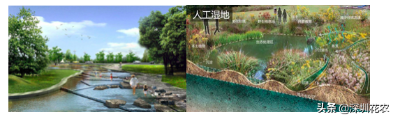 國家濕地水環(huán)境污染控制指南項(xiàng)目(一)(圖24) 國家濕地水環(huán)境污染控制指南項(xiàng)目(一)(圖24)