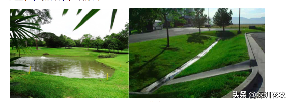 國家濕地水環(huán)境污染控制指南項(xiàng)目(一)(圖26) 國家濕地水環(huán)境污染控制指南項(xiàng)目(一)(圖26)
