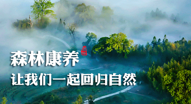 將樂縣獲評全國“兩山”實踐創(chuàng)新基地(圖8) 將樂縣獲評全國“兩山”實踐創(chuàng)新基地(圖8)