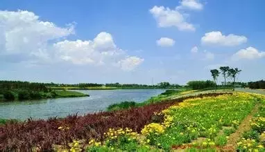 臨淄確立2017年度生態(tài)建設(shè)六大重點(diǎn)(圖2)