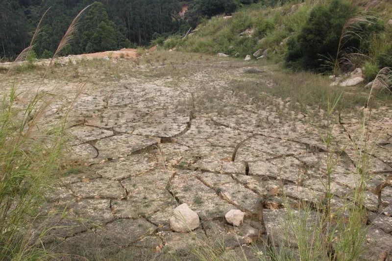 公益訴訟丨南安檢察推動解決烏石山淤泥池地質隱患(圖1) 公益訴訟丨南安檢察推動解決烏石山淤泥池地質隱患(圖1)