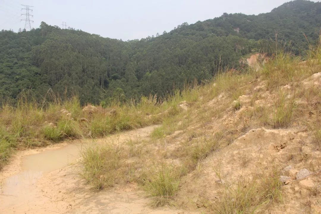 公益訴訟丨南安檢察推動解決烏石山淤泥池地質隱患(圖2) 公益訴訟丨南安檢察推動解決烏石山淤泥池地質隱患(圖2)