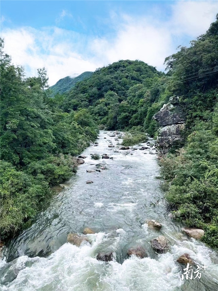 這項工作,小三江鎮名列連山第一(圖3) 這項工作,小三江鎮名列連山第一(圖3)
