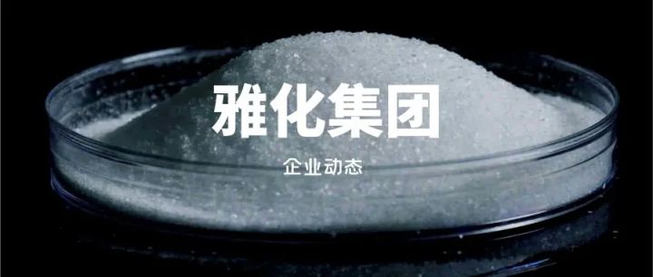 雅化集團是一家什么樣的公司？(圖1)
