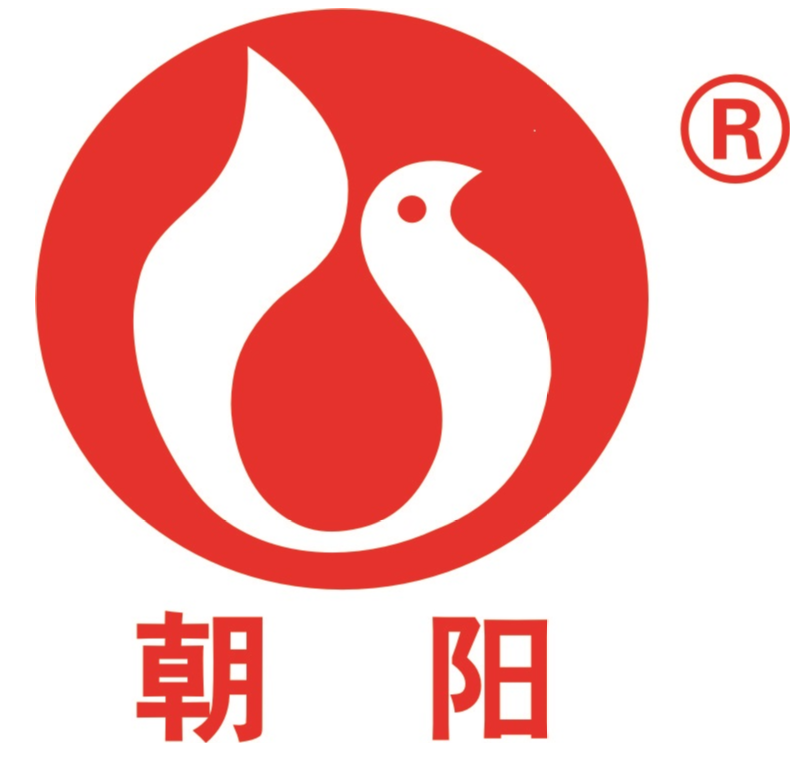 衡陽市朝陽重機有限公司邀您參觀第六屆廣州砂石展！(圖2)