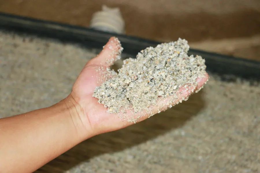 嚴把質量關，寬廣企業路——瑞弘建材洗砂生產線紀實(圖9)
