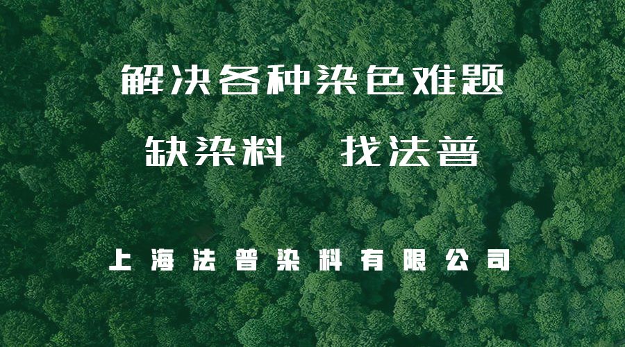 2021：萊賽爾元年(圖10)