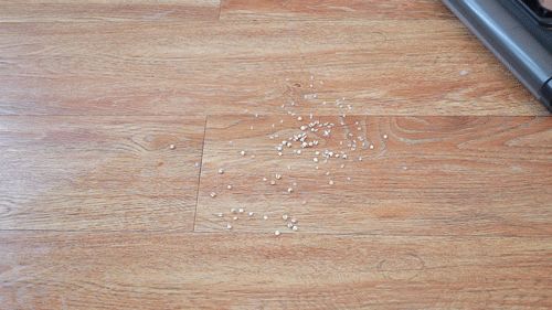 洗地機哪個品牌好?求推薦國產性價比高的品牌?(圖7) 洗地機哪個品牌好?求推薦國產性價比高的品牌?(圖7)