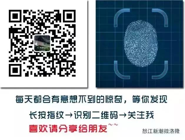 微說洛隆丨政協洛隆縣委員會深入馬利鎮布許蟲草采集點視察(圖20)