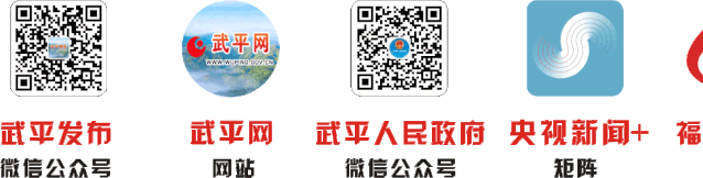 零容忍！武平依法取締9處非法洗砂場~直擊現場——(圖16)