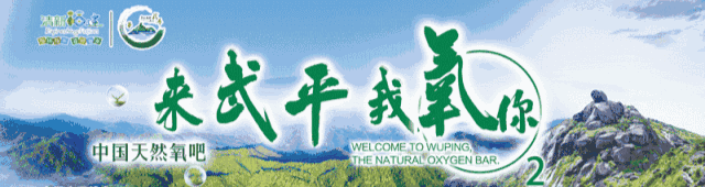 零容忍！武平依法取締9處非法洗砂場~直擊現場——(圖15)