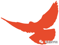 零容忍！武平依法取締9處非法洗砂場~直擊現場——(圖19)