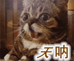 藏不住了！這個項目拿了個大獎，秘密武器是……(圖3)