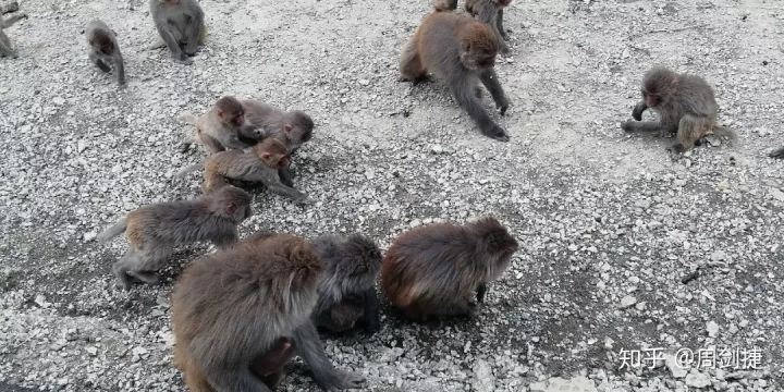 4000公里,遇見“慢生活”的美好(圖73) 4000公里,遇見“慢生活”的美好(圖73)