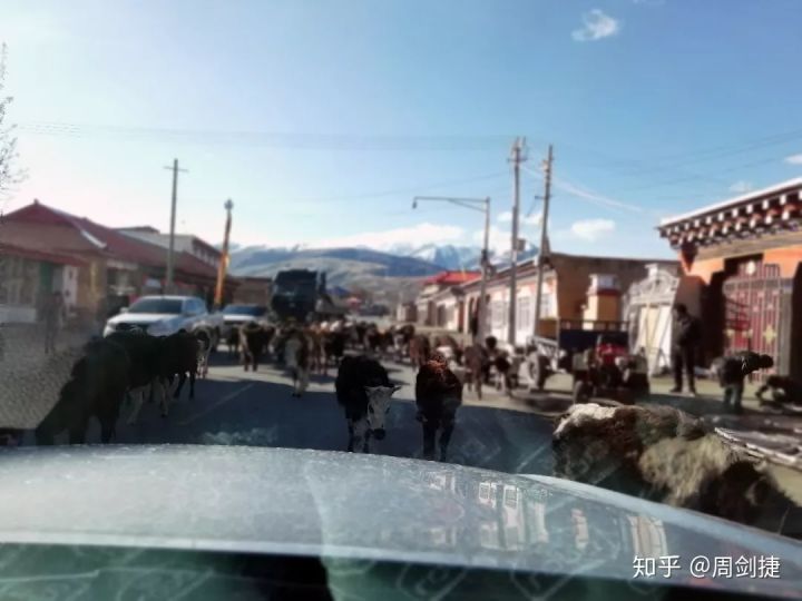 4000公里,遇見“慢生活”的美好(圖72) 4000公里,遇見“慢生活”的美好(圖72)