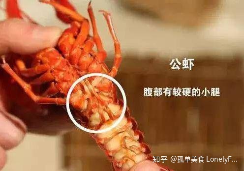 小龍蝦價格飛漲，吃貨哭著也要吃！(圖14)