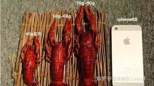 小龍蝦價格飛漲，吃貨哭著也要吃！(圖16)