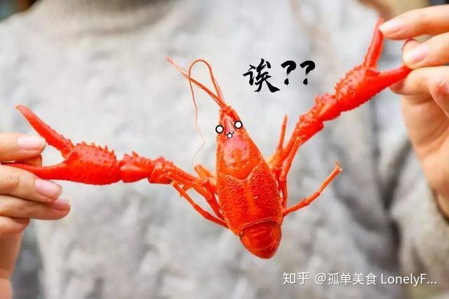 小龍蝦價格飛漲，吃貨哭著也要吃！(圖7)