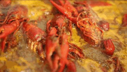 小龍蝦價格飛漲，吃貨哭著也要吃！(圖9)