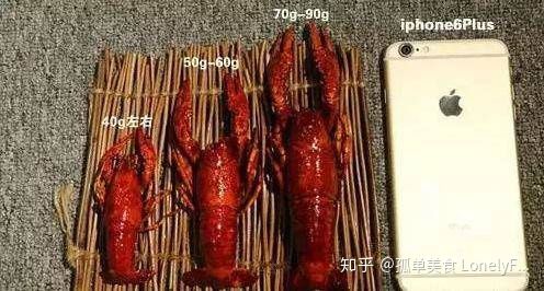 小龍蝦價格飛漲，吃貨哭著也要吃！(圖17)
