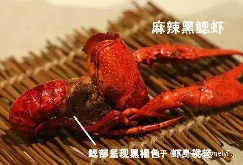 小龍蝦價格飛漲，吃貨哭著也要吃！(圖21)