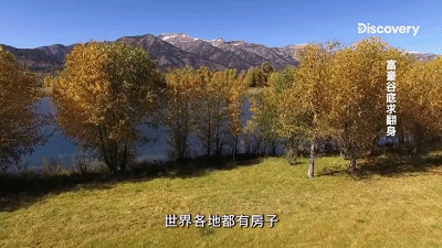 富一代刷馬桶，90天后100美金賺百萬：窮人認命，富人拼命(圖4)