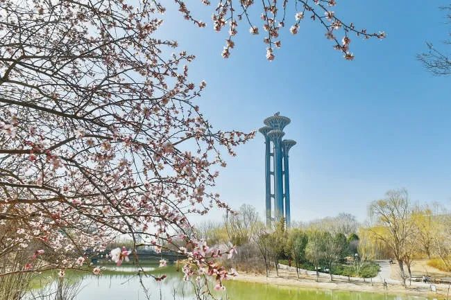 首都五年新變化聚焦北京市十三次黨代會丨朝陽聚焦“三化”打造首都金名片(圖9)